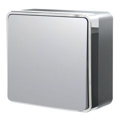 Выключатель одноклавишный Gallant серебряный W5010006