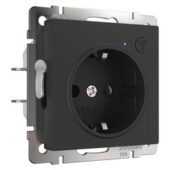Умная встраиваемая розетка Werkel Wi-Fi 3500W IP20 W1171608 черный матовый