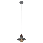 Подвесной светильник Arte Lamp LIDO A5067SP-1GY