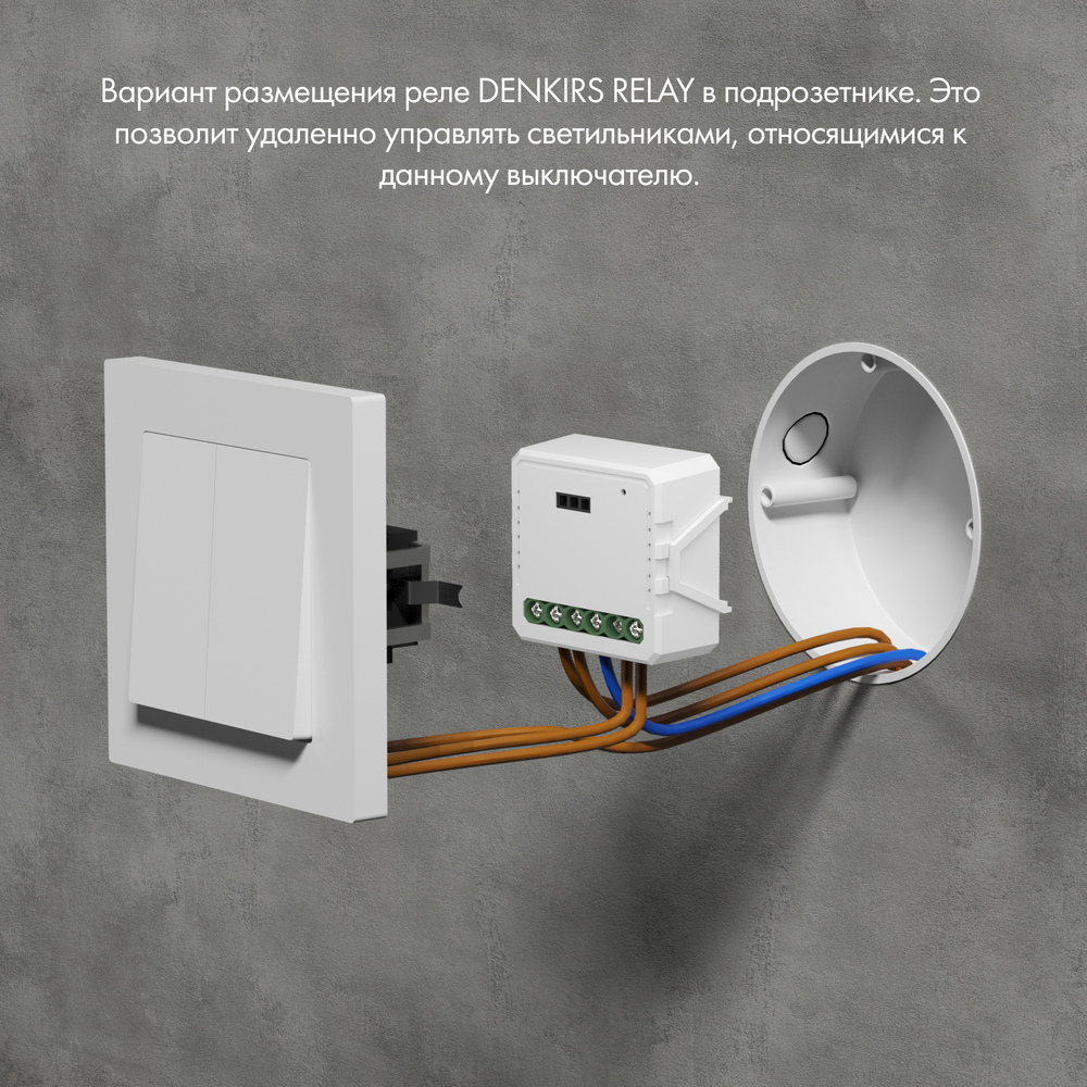 RL1003-DM Одноканальное Wi-Fi реле-диммер 1 x 200 Вт