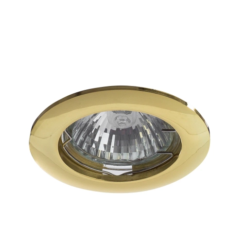 Купить Точечный встраиваемый светильник Arte Lamp BASIC A2103PL-1GO