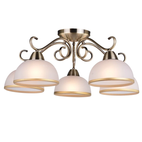 Купить Потолочная люстра Arte Lamp BEATRICE A1221PL-5AB