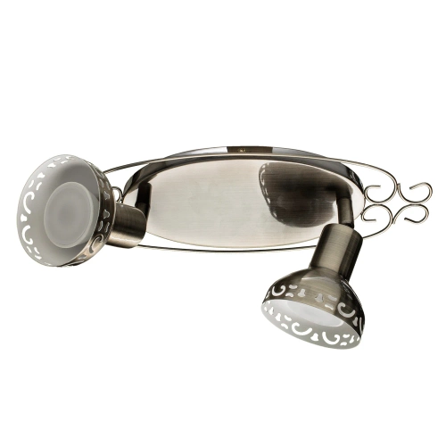 Купить Спот Arte Lamp FOCUS A5219AP-2AB