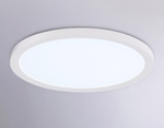 FZ1905 WH белый IP54 26W 3000K-6500K CCT-переключатель D370*25 (Без ПДУ)