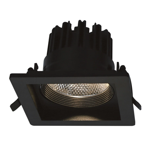 Купить Карданный светильник Arte Lamp PRIVATO A7018PL-1BK