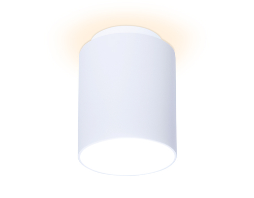Купить TN260 WH/S белый/песок LED 4200K 7W D80*100