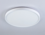FZ3001 WH белый IP44 24W+10W 6400+6400К D300*40 (Без ПДУ)