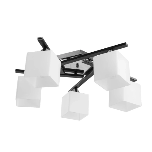 Купить Потолочная люстра Arte Lamp VISUALE A8165PL-5BK