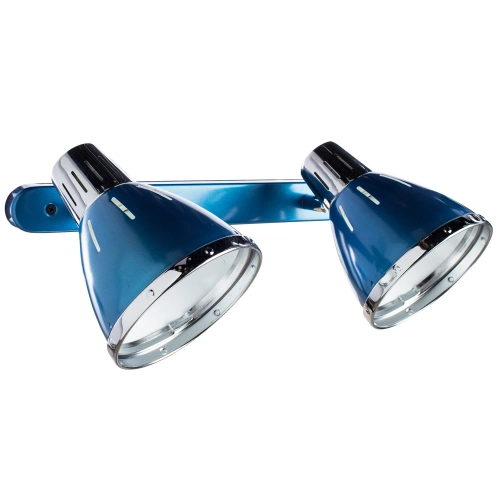 Купить Спот Arte Lamp MARTED A2215AP-2BL