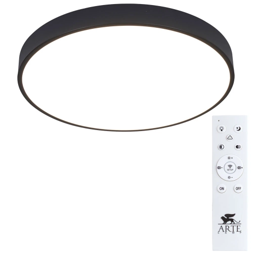 Купить Потолочный светильник Arte Lamp ARENA A2672PL-1BK