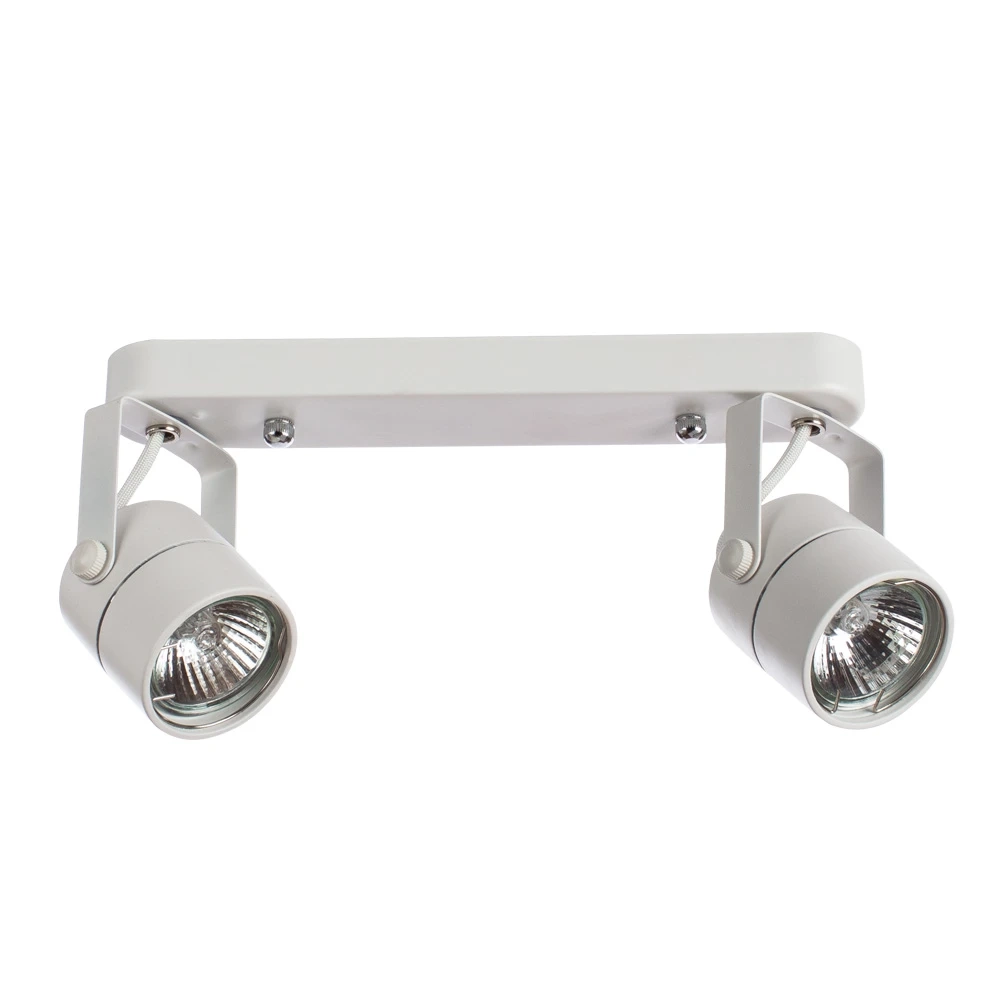 Спот Arte Lamp LENTE A1310PL-2WH