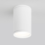 Уличный потолочный светильник Light IP65 35128/H белый