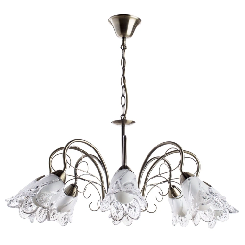 Купить Подвесная люстра Arte Lamp FIORITA A6273LM-8AB
