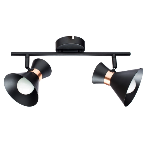 Купить Спот Arte Lamp BALTIMORE A1406AP-2BK
