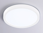 FZ1901 WH белый IP54 13W 3000K-6500K CCT-переключатель D230*25 (Без ПДУ)
