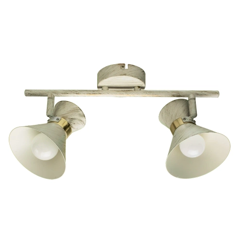 Купить Спот Arte Lamp BALTIMORE A1406AP-2WG