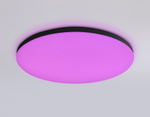 FZ2004 BK черный IP54 20W 3000K-6500K+RGB Wi-Fi Алиса/Tuya/Smart Home/Alexa D300*55 (ПДУ ИК)