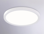 FZ1903 WH белый IP54 20W 3000K-6500K CCT-переключатель D300*25 (Без ПДУ)