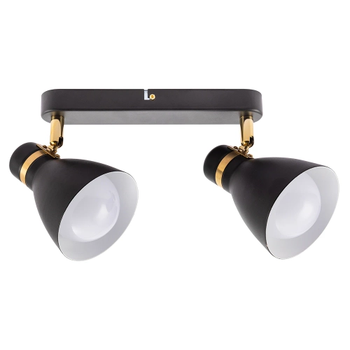 Купить Спот Arte Lamp FAFNIR A5047PL-2BK