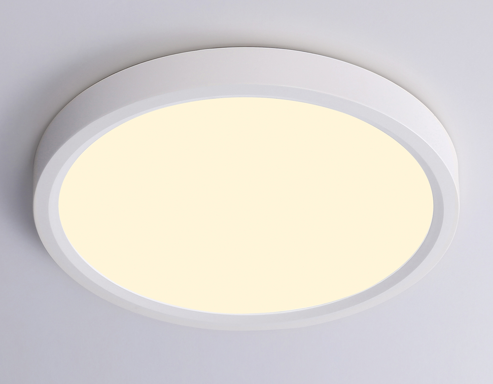 FZ1901 WH белый IP54 13W 3000K-6500K CCT-переключатель D230*25 (Без ПДУ)