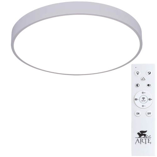 Купить Потолочный светильник Arte Lamp ARENA A2670PL-1WH