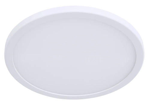 Купить Потолочный светильник Arte Lamp A2532PL-1WH
