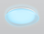 FZ1610 FR матовый IP20 40W 3000-6500K+RGB 410*100 (ПДУ ИК)