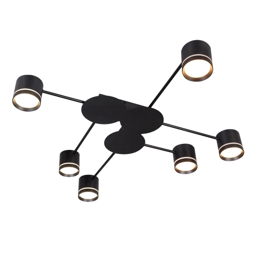 Купить Потолочная люстра Arte Lamp LEGACY A8024PL-6BK