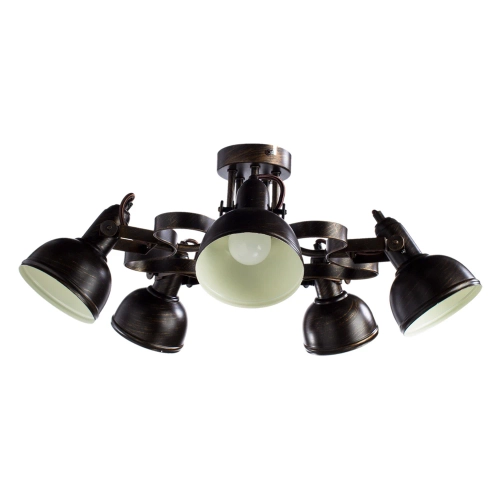 Купить Потолочная люстра Arte Lamp MARTIN A5216PL-5BR