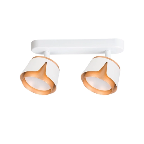 Купить Спот Arte Lamp AMAKS A8028PL-2WH