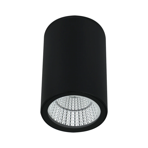 Купить Уличный потолочный светильник Arte Lamp TORCULAR A1807PF-1BK
