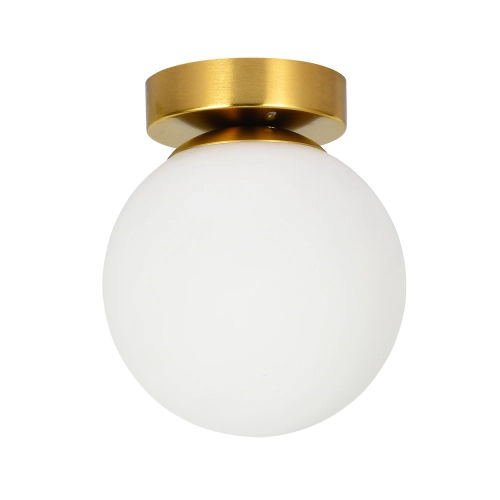 Купить Настенно-потолочный светильник Arte Lamp ALCOR A2224PL-1PB