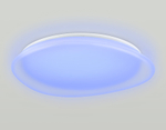 FZ1615 FR матовый IP20 60W 3000-6500K+RGB 510*100 (ПДУ ИК)