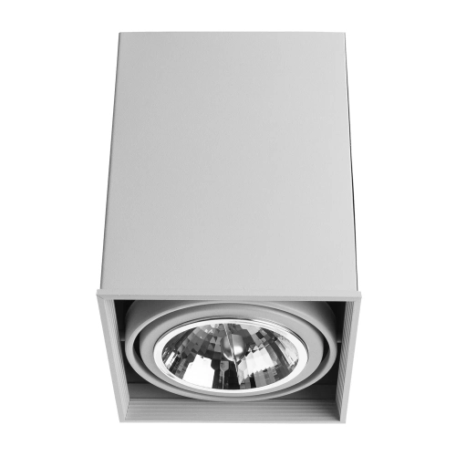 Купить Точечный накладной светильник Arte Lamp CARDANI GRANDE A5936PL-1WH