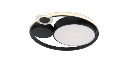 Купить Потолочный светильник Arte Lamp STOCKHOLM A2690PL-1BK