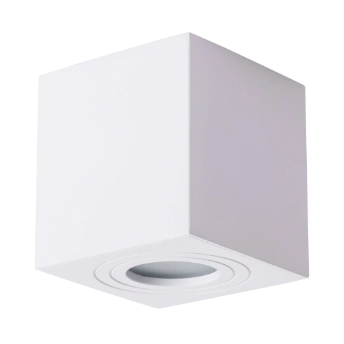 Купить Точечный накладной светильник Arte Lamp GALOPIN A1461PL-1WH