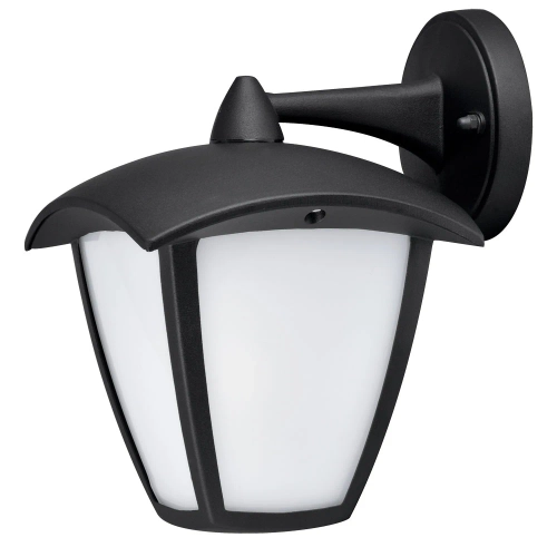 Купить Уличный настенный светильник Arte Lamp SAVANNA A2209AL-1BK