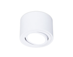 TN222 WH/S белый/песок GU5.3 D80*50