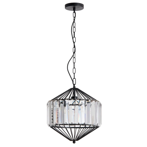 Купить Подвесной светильник Arte Lamp CASSEL A1790SP-1BK