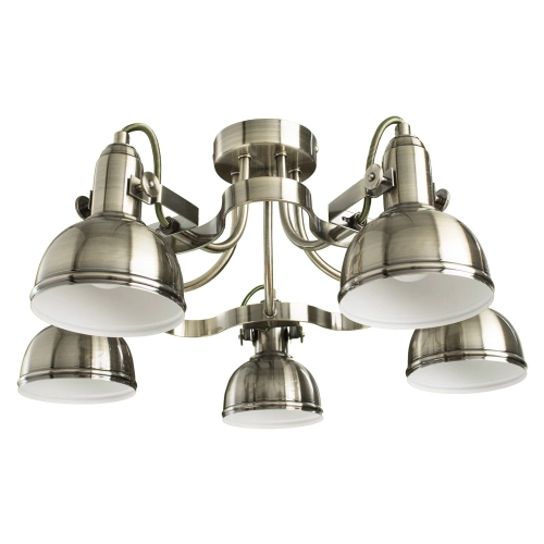 Купить Потолочная люстра Arte Lamp MARTIN A5216PL-5AB