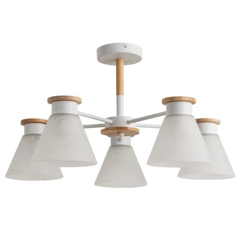 Купить Потолочная люстра Arte Lamp TYLER A1031PL-5WH