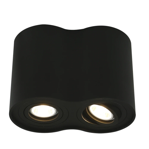 Купить Точечный накладной светильник Arte Lamp FALCON A5644PL-2BK
