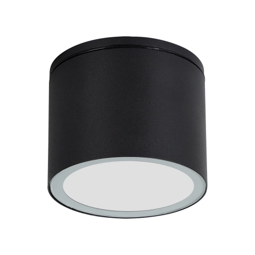 Купить Уличный потолочный светильник Arte Lamp PIAUTOS A1913PF-1BK