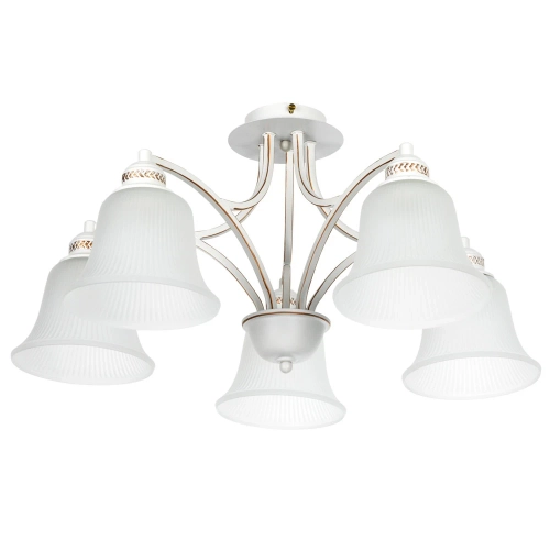 Купить Потолочная люстра Arte Lamp EMMA A2713PL-5WG