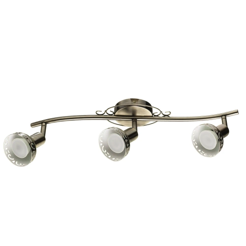 Купить Спот Arte Lamp FOCUS A5219PL-3AB