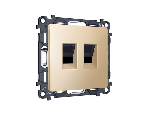 Купить MA612110 Комплект механизма компьютерной двойной розетки RJ-45 (8P8C) CAT6 с автоматической защитной шторкой ALFA Шампань QUANT (AP6121, VM189)