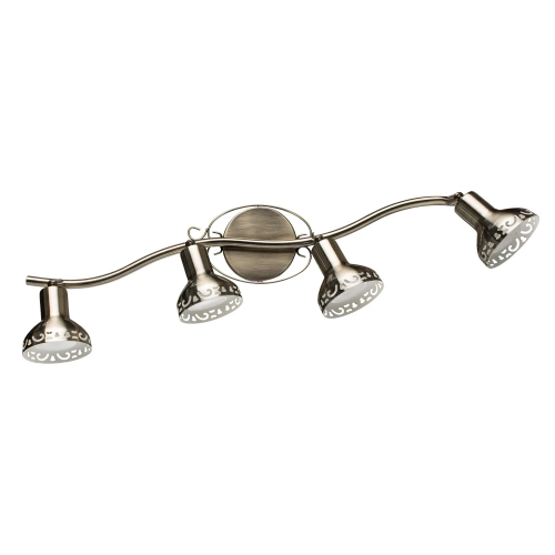 Купить Спот Arte Lamp FOCUS A5219PL-4AB