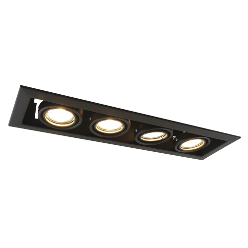 Купить Карданный светильник Arte Lamp CARDANI PICCOLO A5941PL-4BK