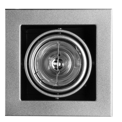 Купить Карданный светильник Arte Lamp CARDANI MEDIO A5930PL-1SI