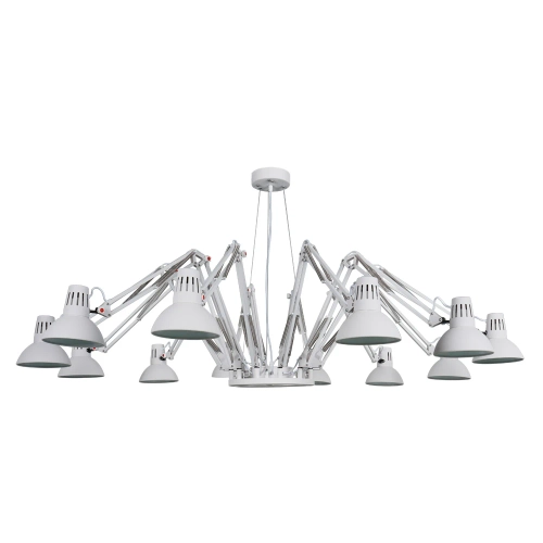 Купить Подвесная люстра Arte Lamp RAGNO A2043SP-12WH